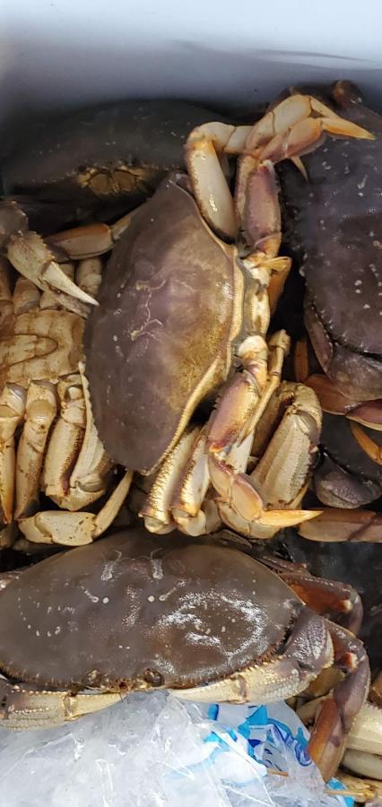 ويستبورت Mariners Cove Inn المظهر الخارجي الصورة